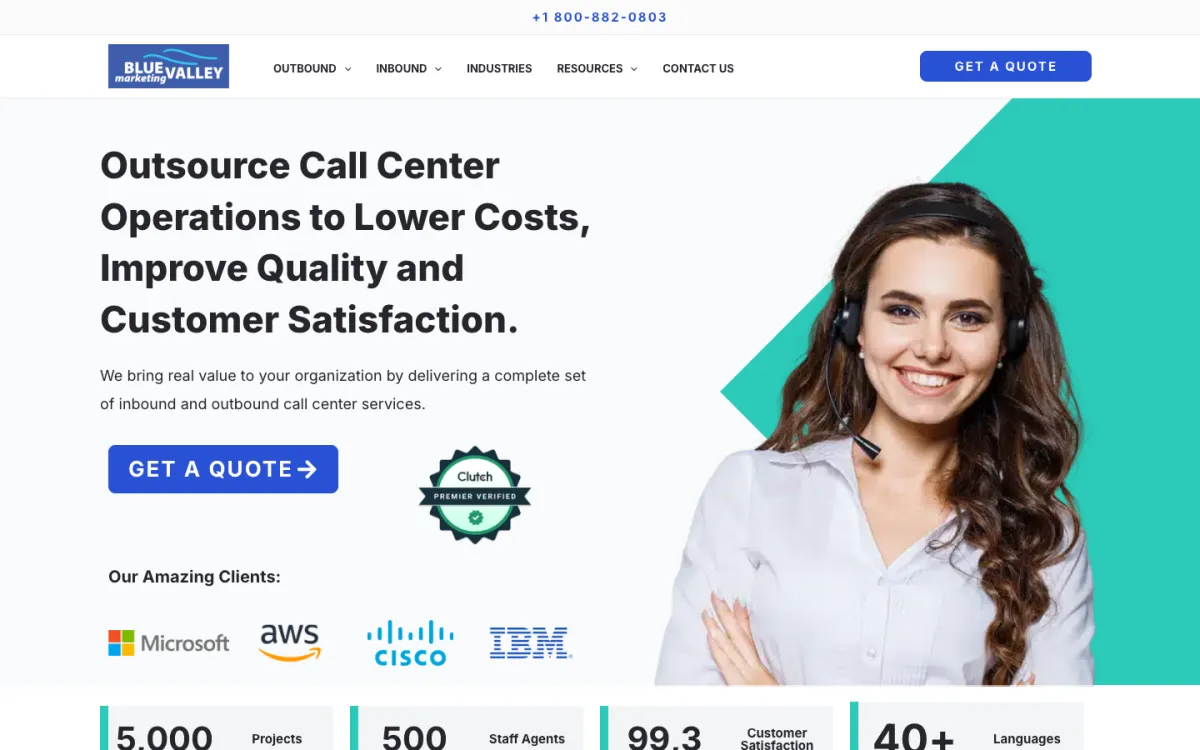 Blue Valley Marketing homepage, captured September 28, 2026